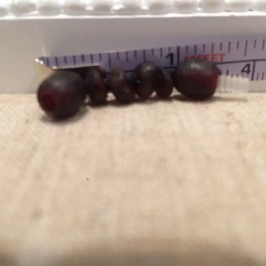 Extender 1.5 Inch Unpolished Raw Cherry Baltic Amber Necklace or Bracelet