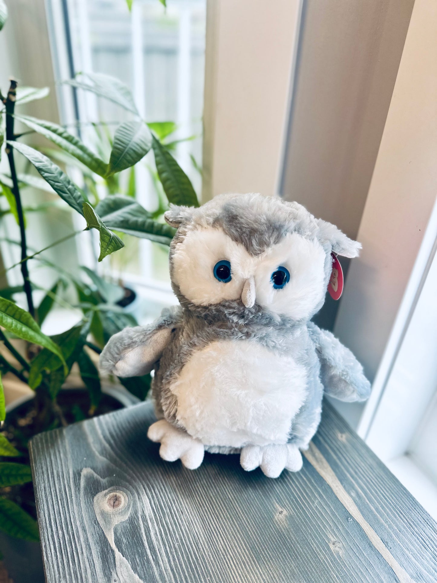 Heartbeat Grey Owl