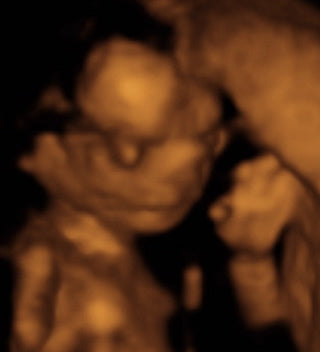 Pregnancy Week image