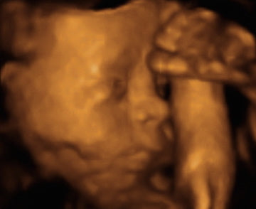 Pregnancy Week image