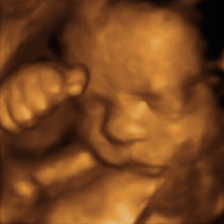 Pregnancy Week image