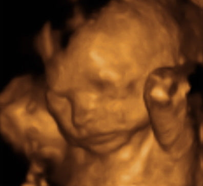 Pregnancy Week image