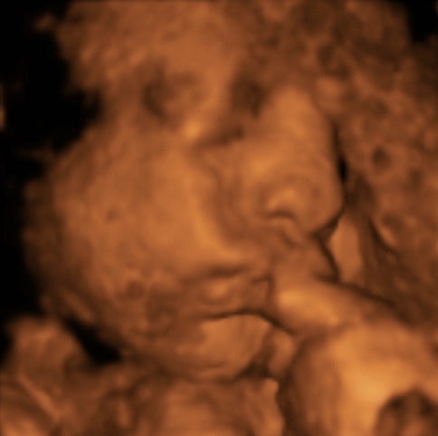 Pregnancy Week image