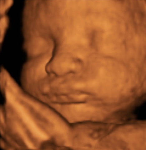 Pregnancy Week image
