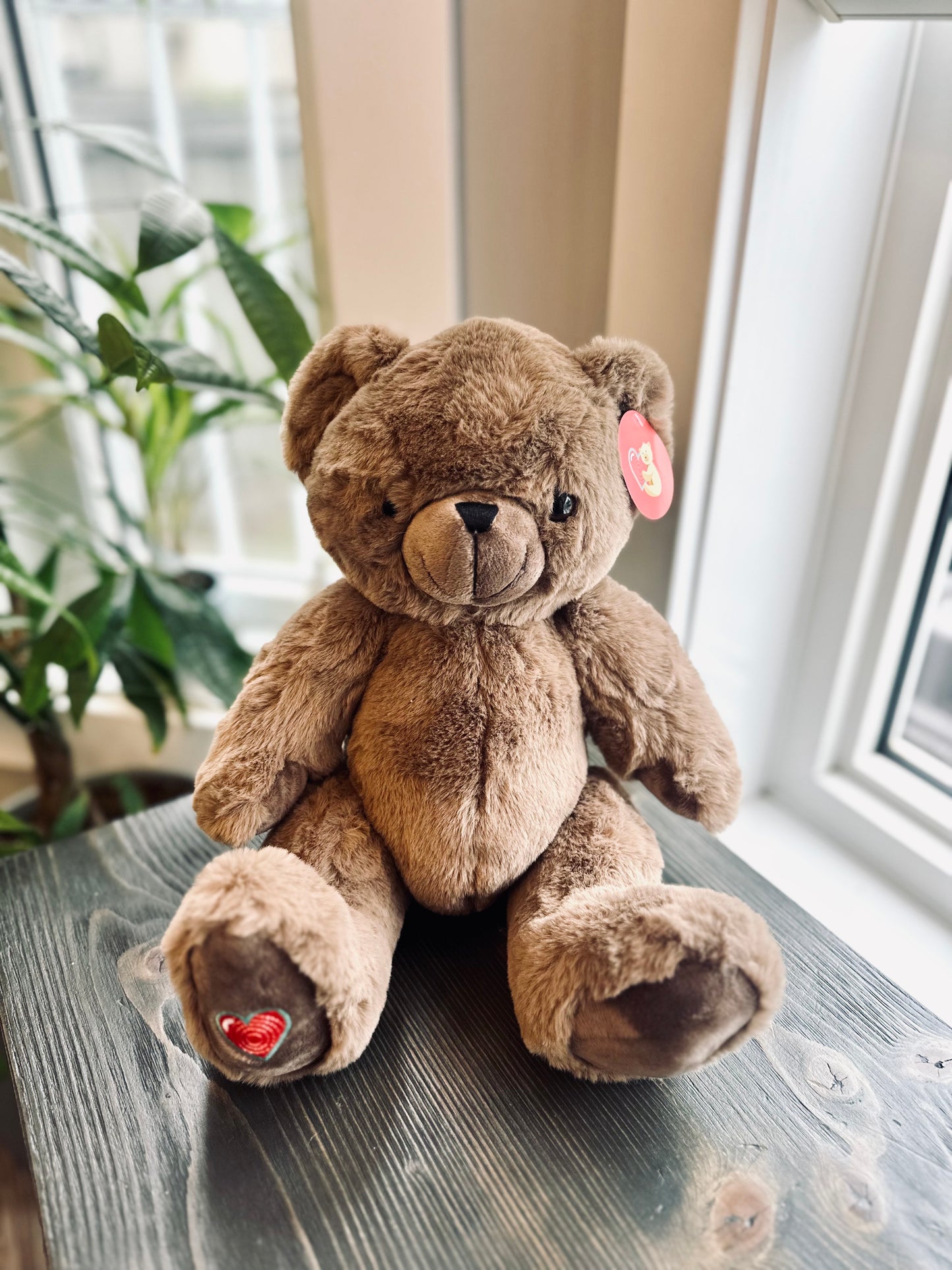 Heartbeat Bear Brown