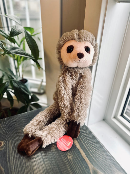 Heartbeat Sloth