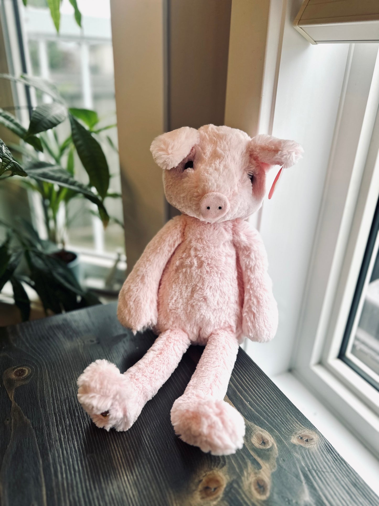 Heartbeat Pig