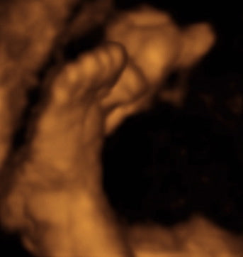 Pregnancy Week image