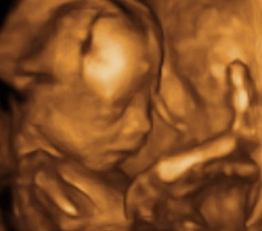 Pregnancy Week image