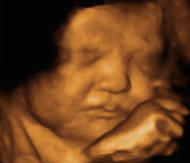 Pregnancy Week image