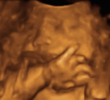 Pregnancy Week image