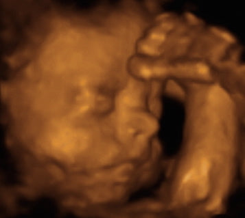 Pregnancy Week image