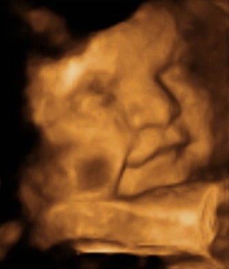 Pregnancy Week image