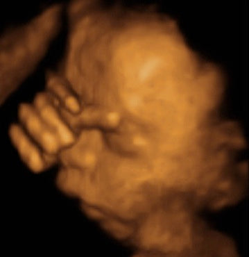 Pregnancy Week image