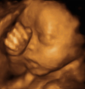 Pregnancy Week image