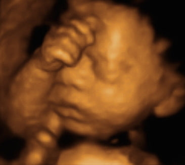 Pregnancy Week image