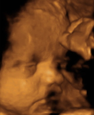 Pregnancy Week image