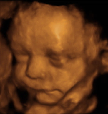 Pregnancy Week image