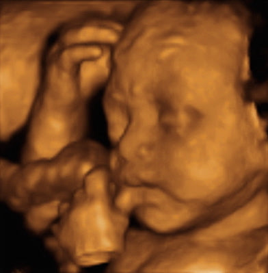 Pregnancy Week image
