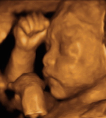 Pregnancy Week image