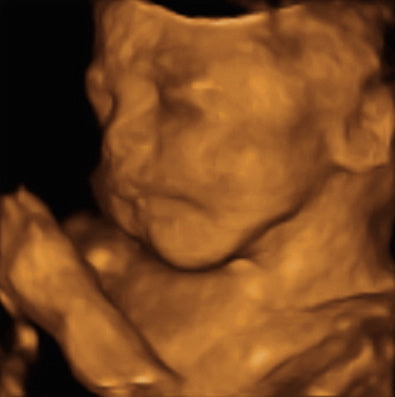 Pregnancy Week image