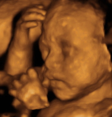 Pregnancy Week image