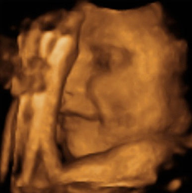 Pregnancy Week image