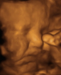 Pregnancy Week image