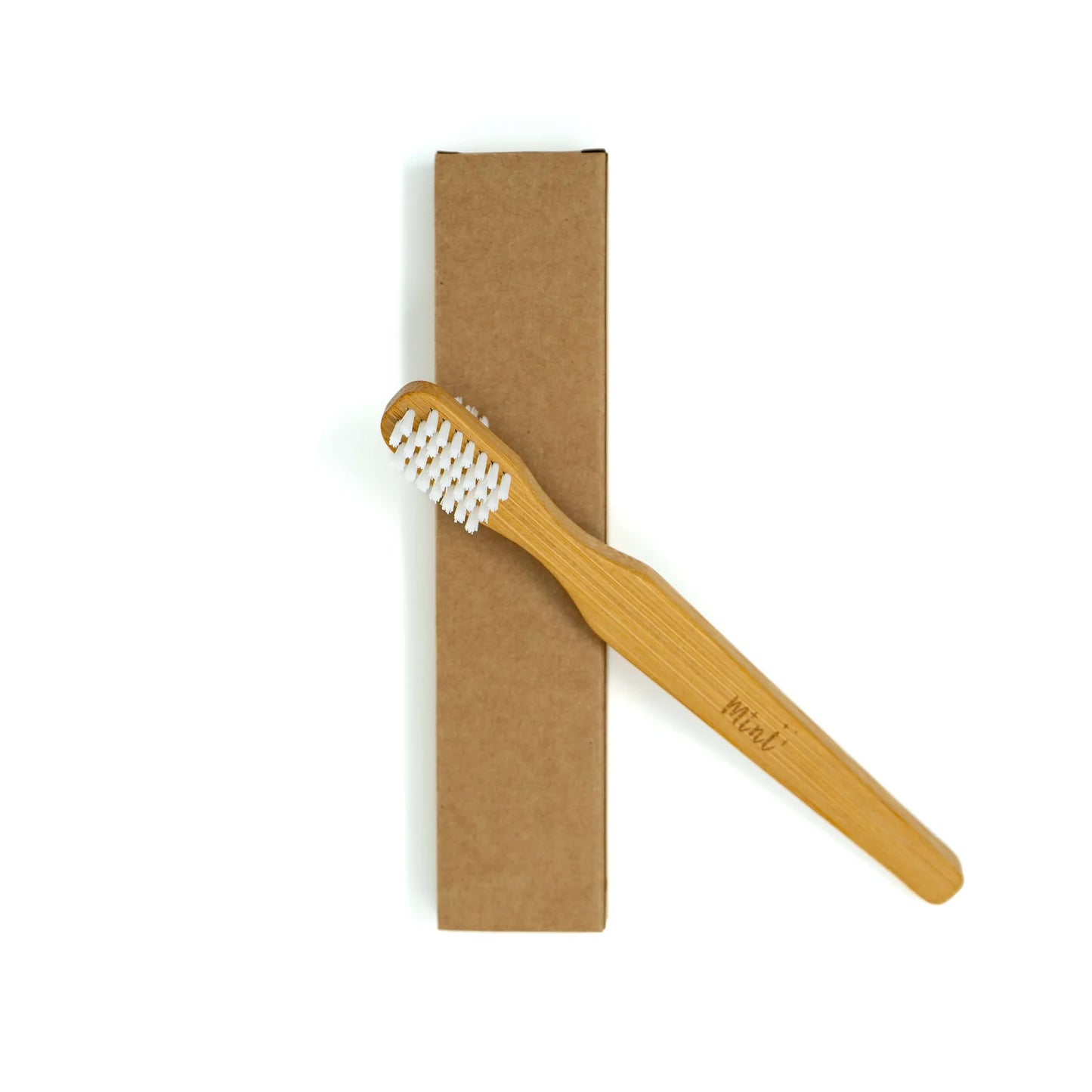 Cleaning Brush